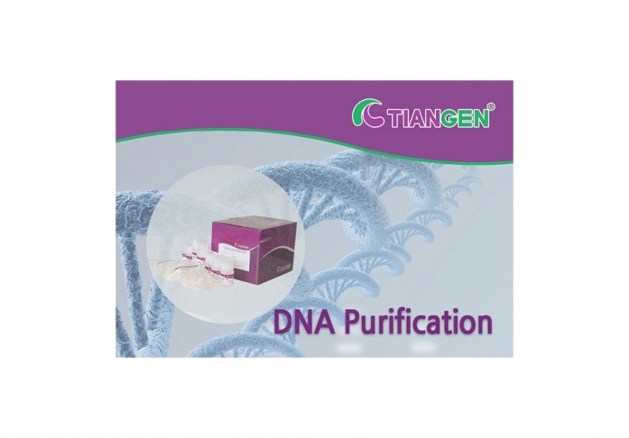 DNAsecure Plant DNA Kit (with RNase A), 50rxn, DP320-02 / 200rxn, DP320-03