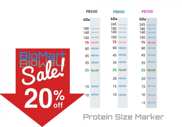 [할인행사] 50개 한정, Protein size marker, 5~245 kDa, 2 x 250μl, PB700