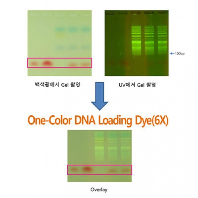 One-Color DNA Loading Dye, 10 ml, TLD-602.3
